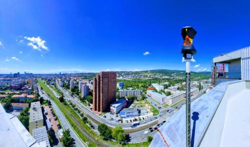 20230810_115429-EFFECTS